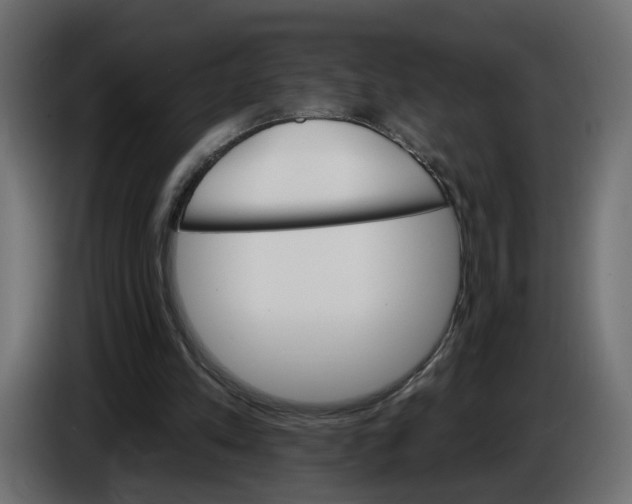 X0000084520197200703231638