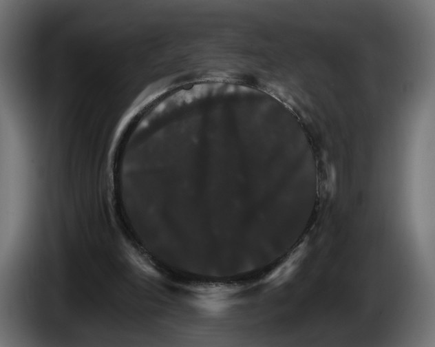 X0000084520198200703231638