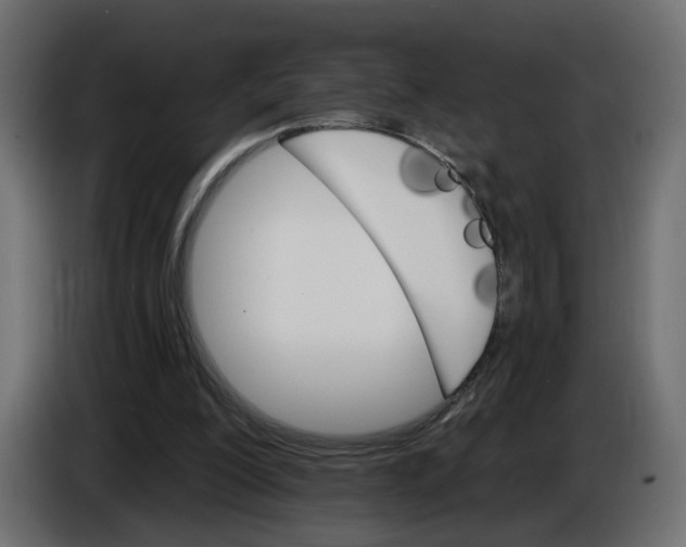 X0000084520200200703231638