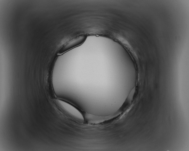 X0000084520201200703231638