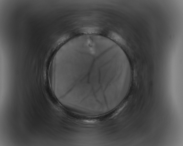X0000084520202200703231638