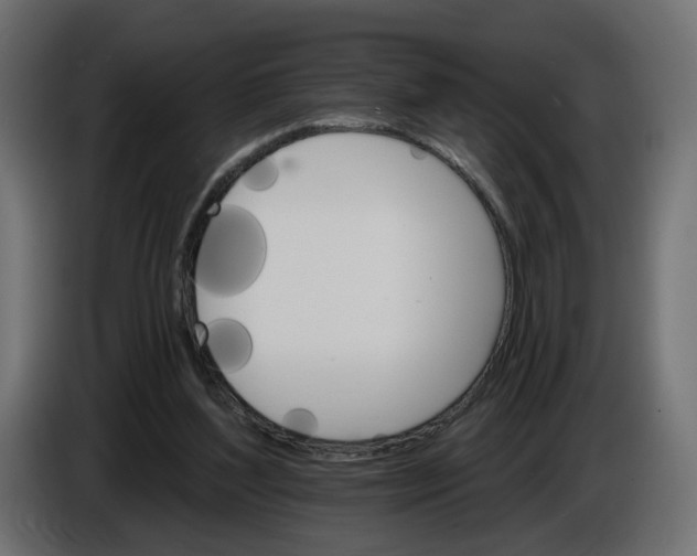 X0000084520204200703231638