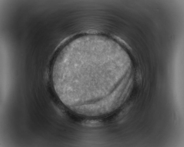 X0000084520208200703231638