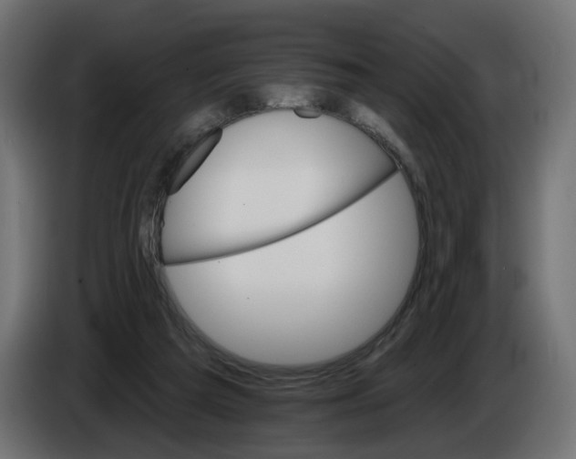 X0000084520209200703231638