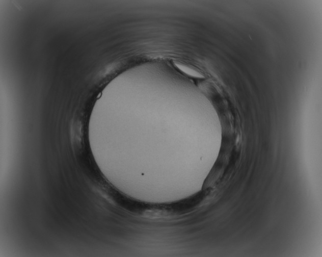 X0000084520211200703231638