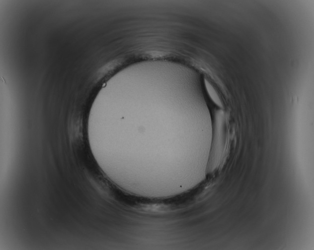 X0000084520212200703231638