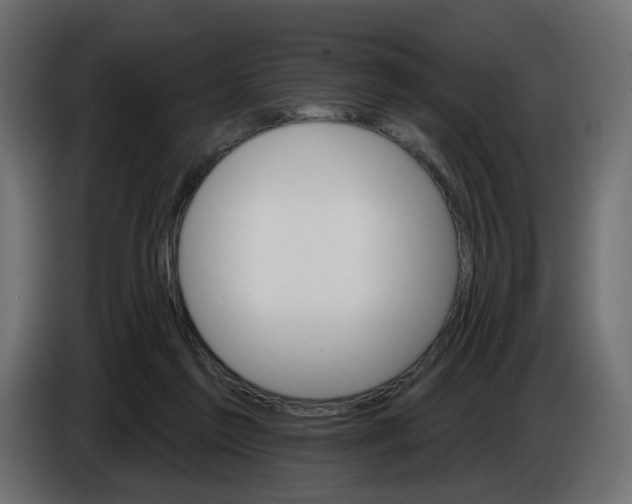 X0000084520213200703231638