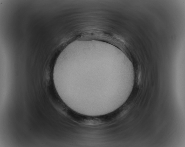 X0000084520215200703231638