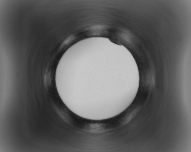 X0000084520216200703231638