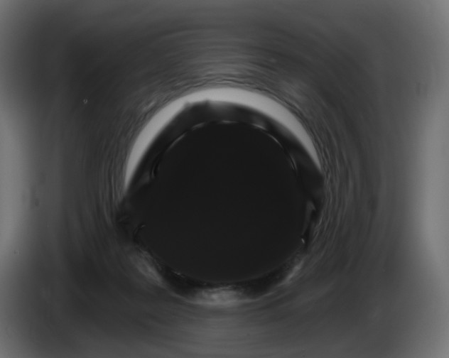 X0000084520219200703231637
