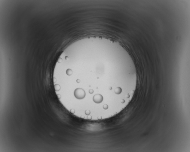 X0000084520220200703231637