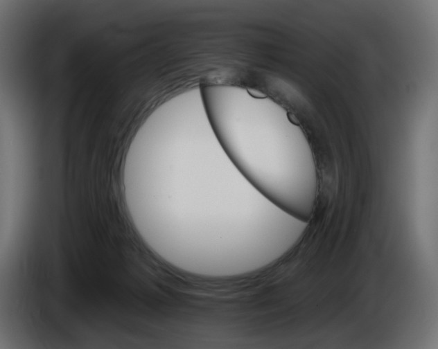 X0000084520221200703231637