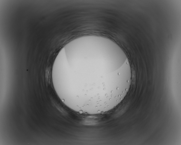 X0000084520222200703231637