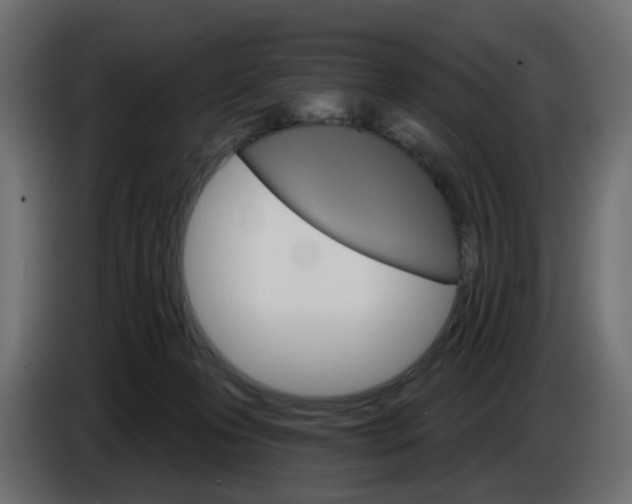 X0000084520223200703231637