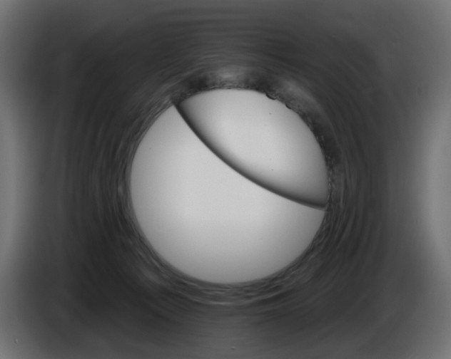 X0000084520225200703231637