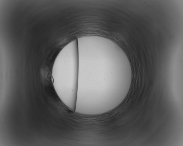 X0000084520228200703231637