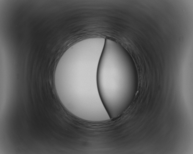 X0000084520229200703231637