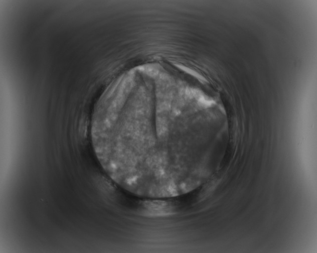 X0000084520230200703231637