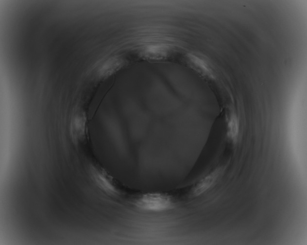 X0000084520231200703231637