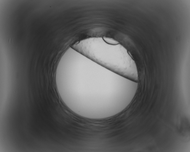 X0000084520232200703231637