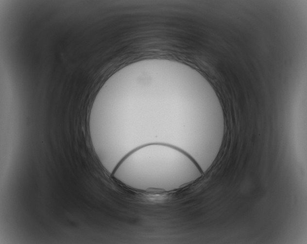 X0000084520233200703231637
