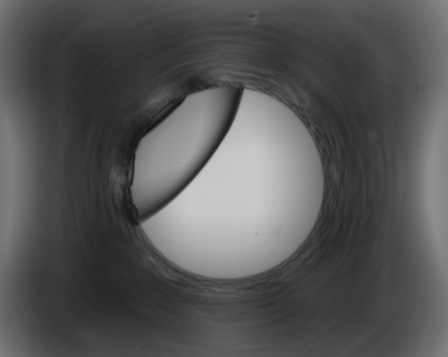 X0000084520235200703231637