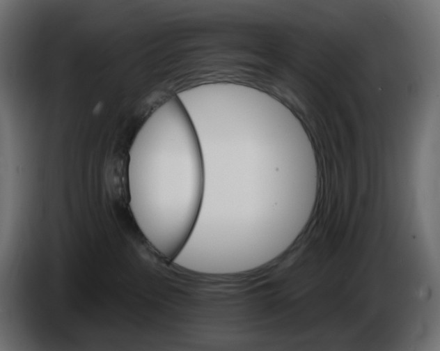X0000084520237200703231637
