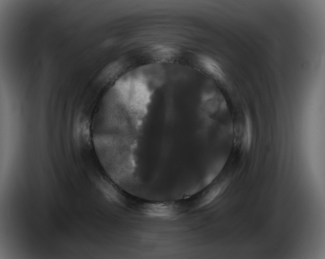 X0000084520238200703231637
