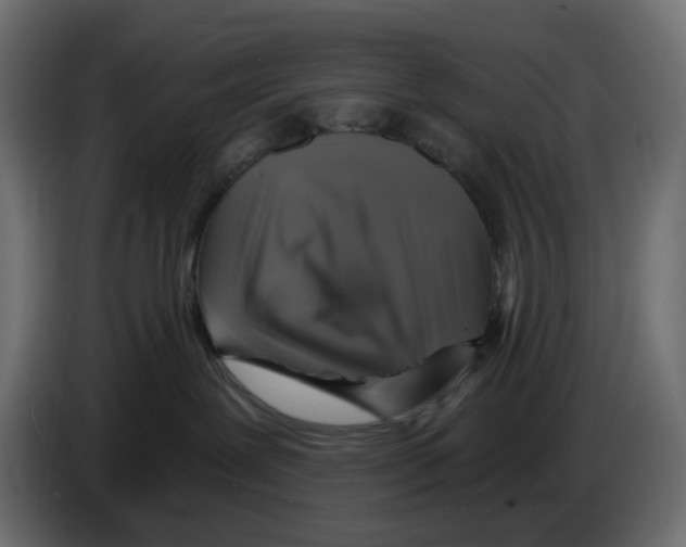 X0000084520239200703231637