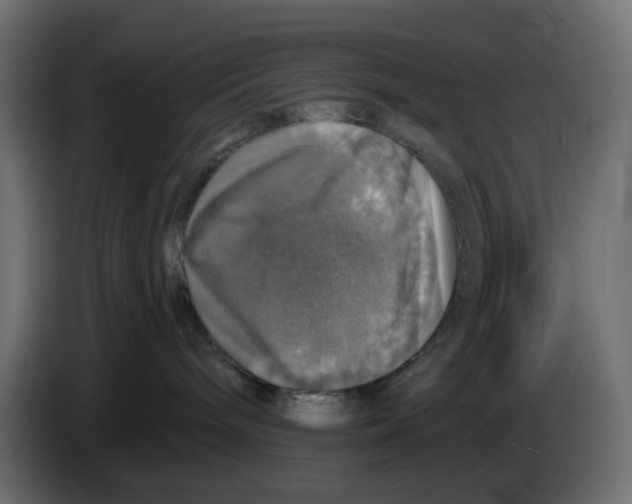 X0000084520240200703231637