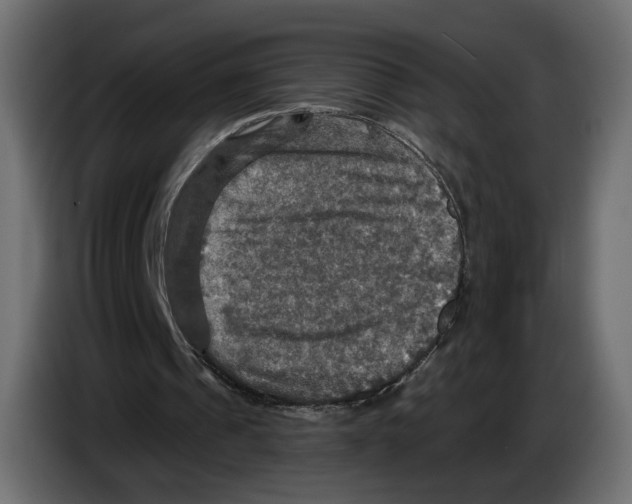 X0000084520241200703231636