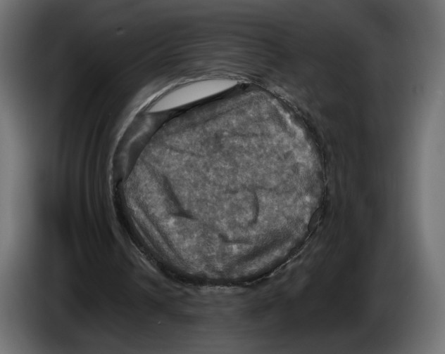 X0000084520242200703231637