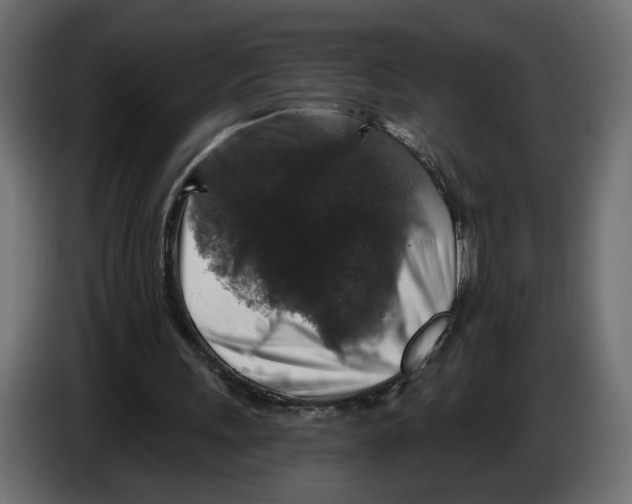 X0000084520243200703231637
