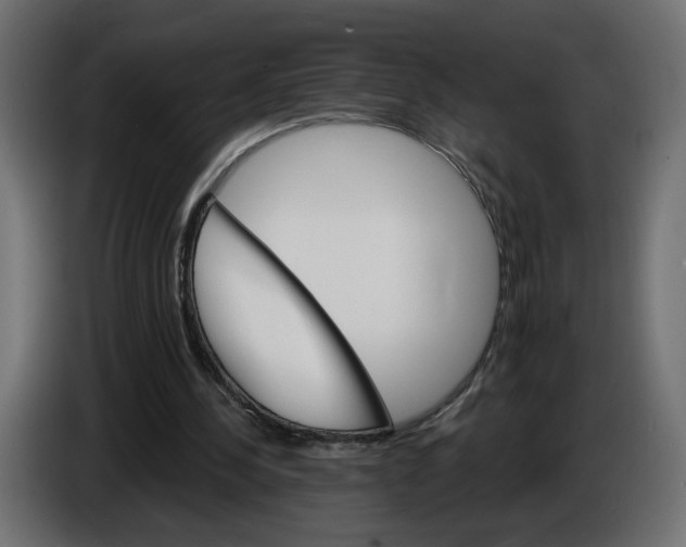 X0000084520244200703231637