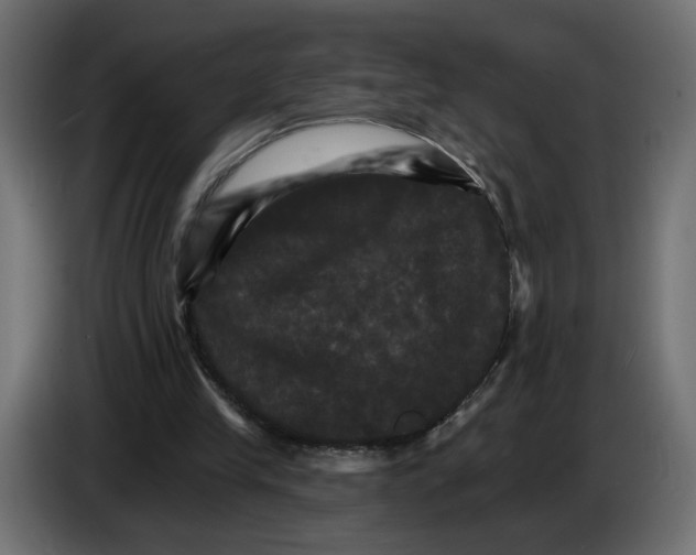 X0000084520245200703231637