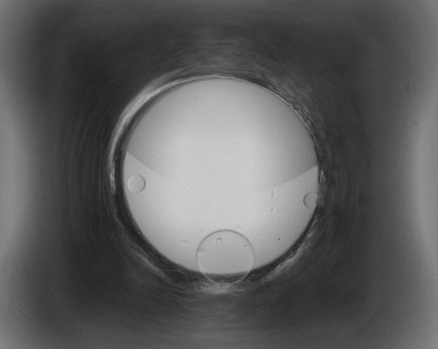 X0000084520246200703231637