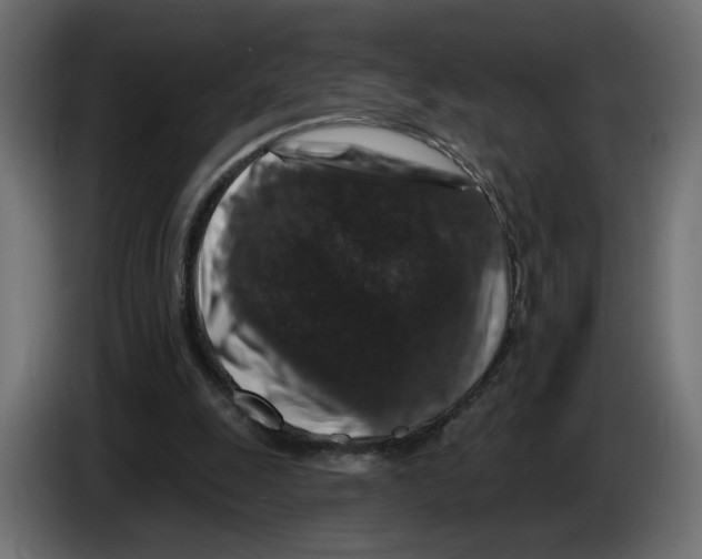 X0000084520247200703231637