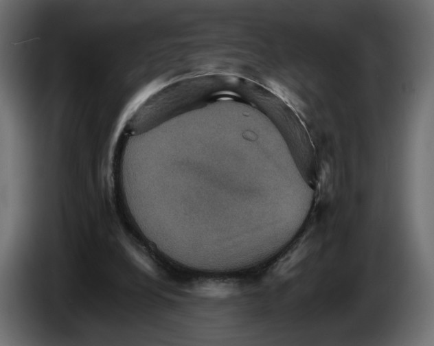 X0000084520248200703231637