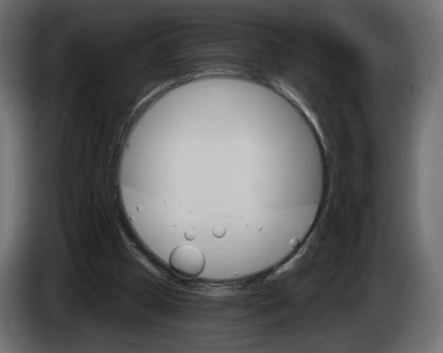 X0000084520249200703231637