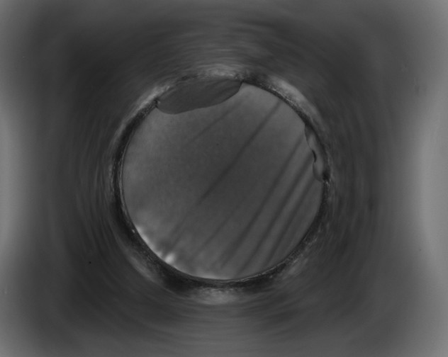 X0000084520250200703231637