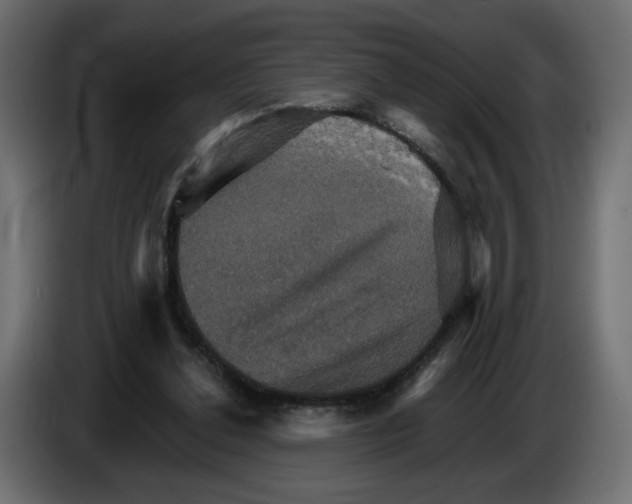 X0000084520252200703231637