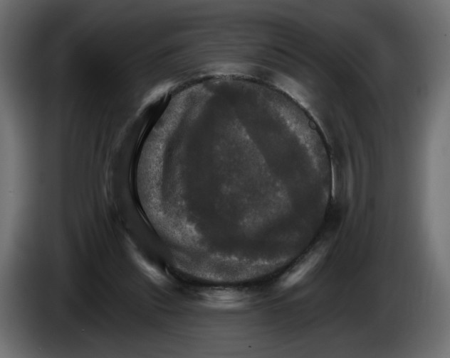 X0000084520253200703231637