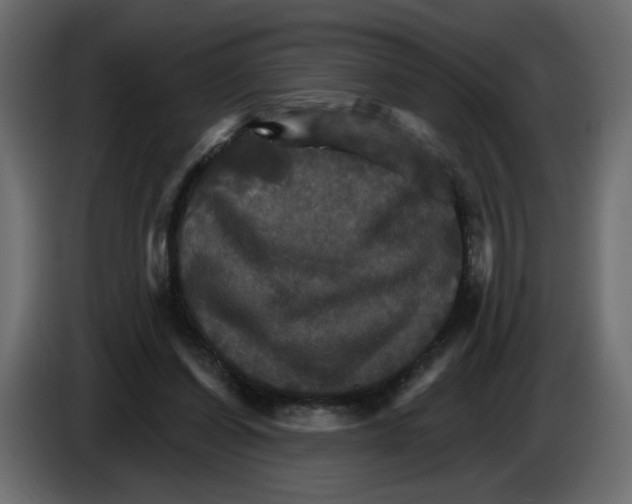 X0000084520254200703231637