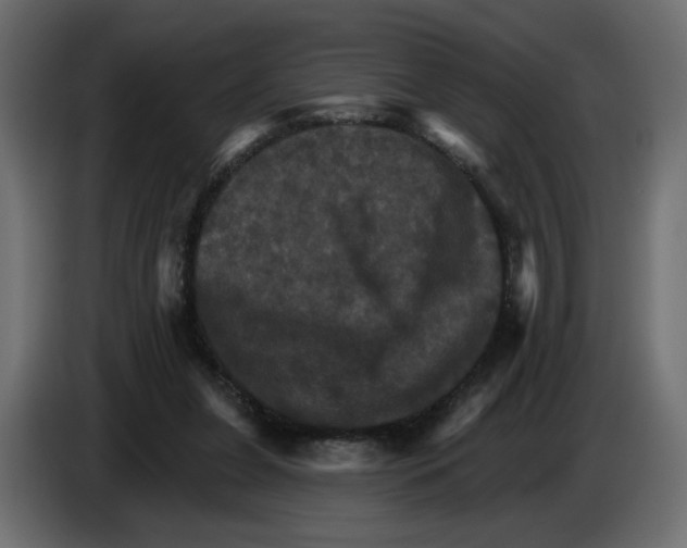 X0000084520255200703231637
