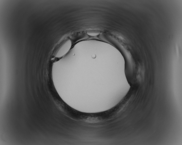 X0000084520256200703231637