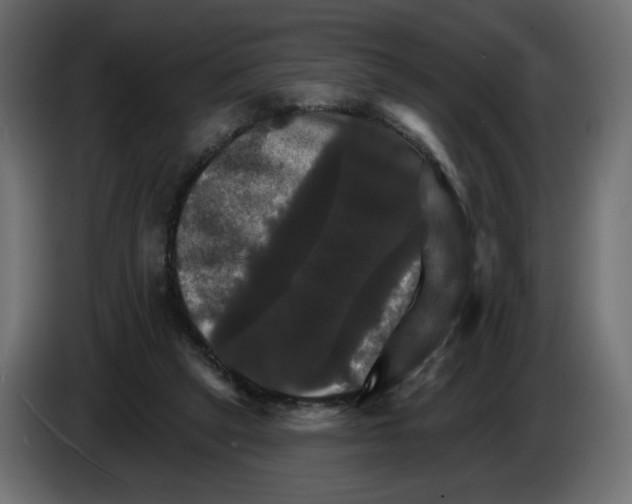 X0000084520257200703231637