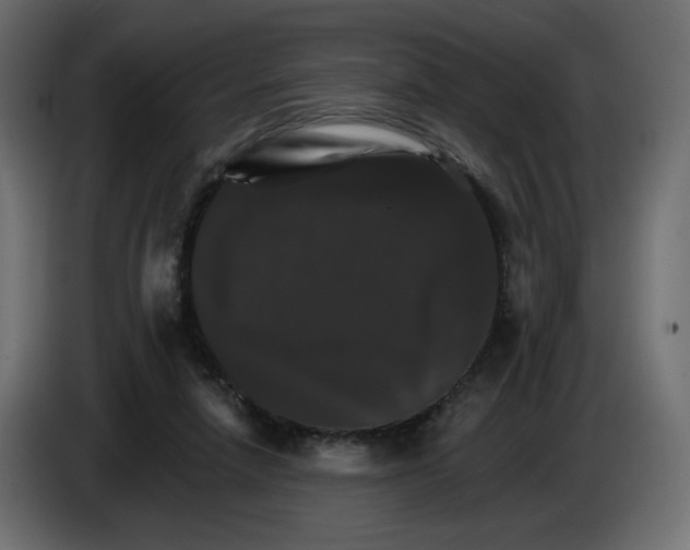 X0000084520258200703231637