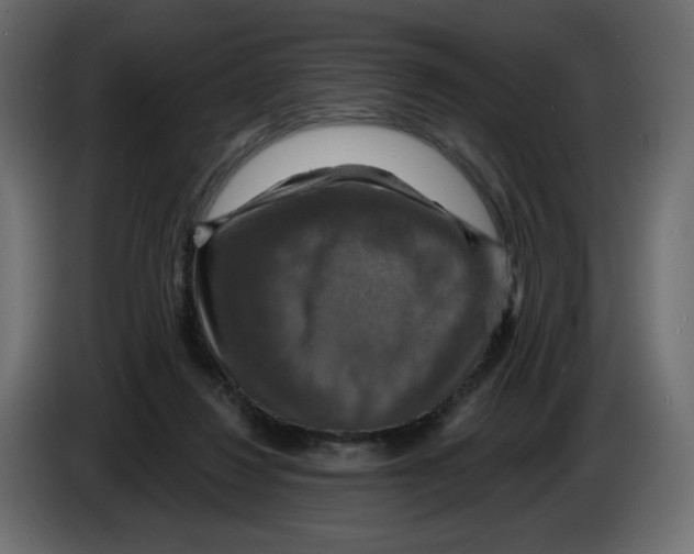 X0000084520260200703231637