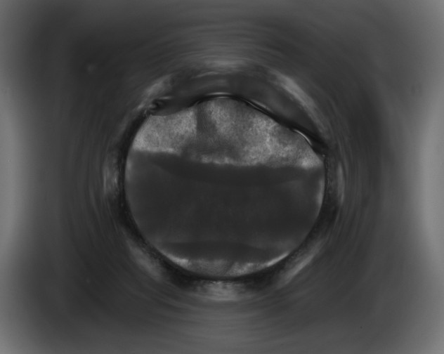 X0000084520261200703231637