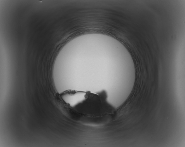 X0000084520262200703231637